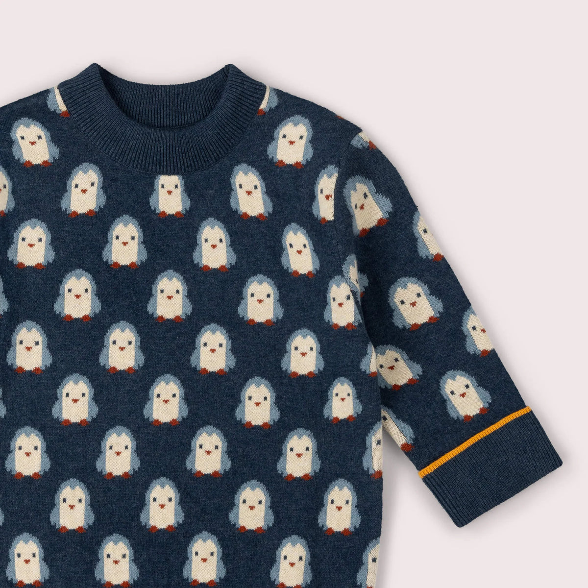 Maglione Pinguino | Little Green Radicals
