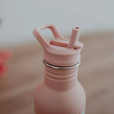 Bottiglia in acciaio inossidabile - 500 ml - Slurpy il Polpo | SASSI