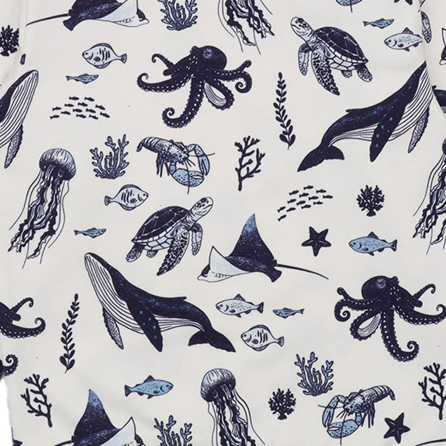Felpa Oceano in cotone biologico – Walkiddy