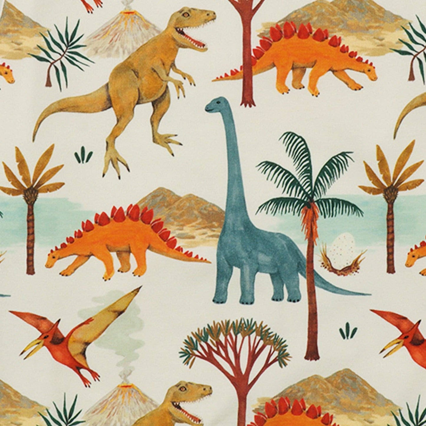 Felpa Dinosauri in cotone biologico – Walkiddy