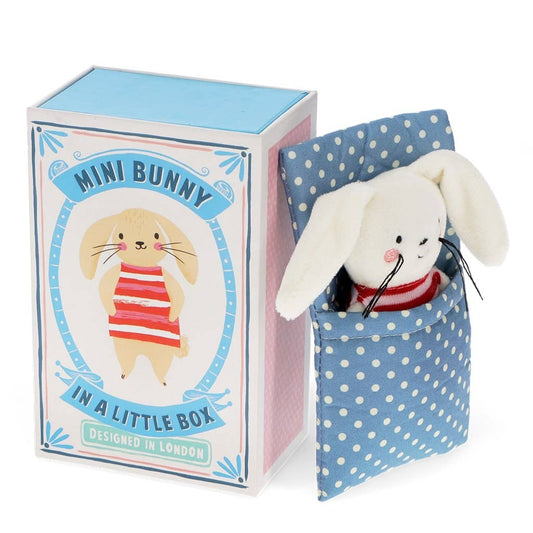 Mini coniglietto in una piccola scatola - peluche