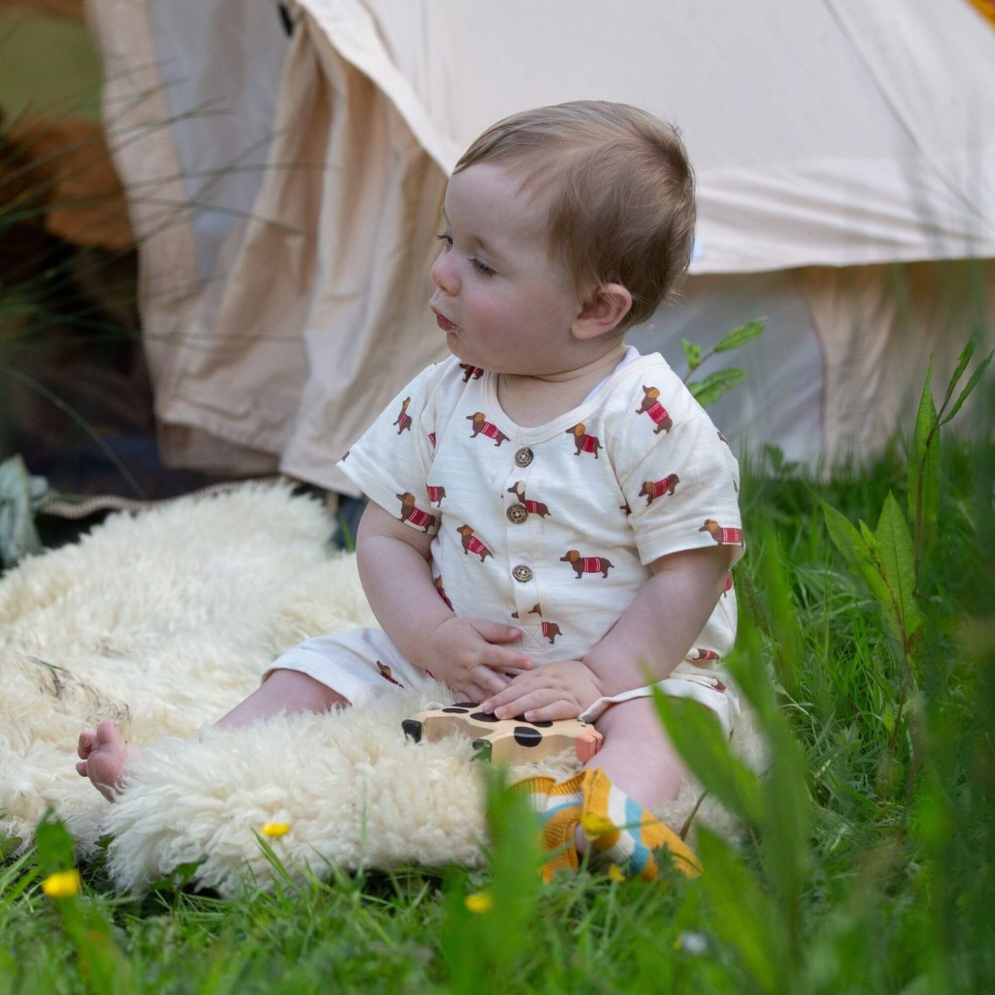 Tutina estiva bassotti in cotone biologico – Little Green Radicals