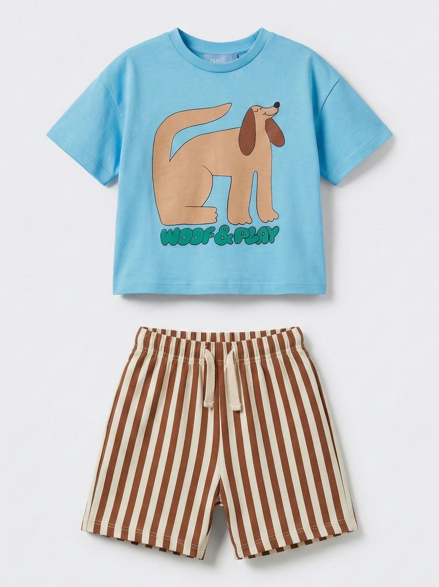 Completo t-shirt cane e shorts righe