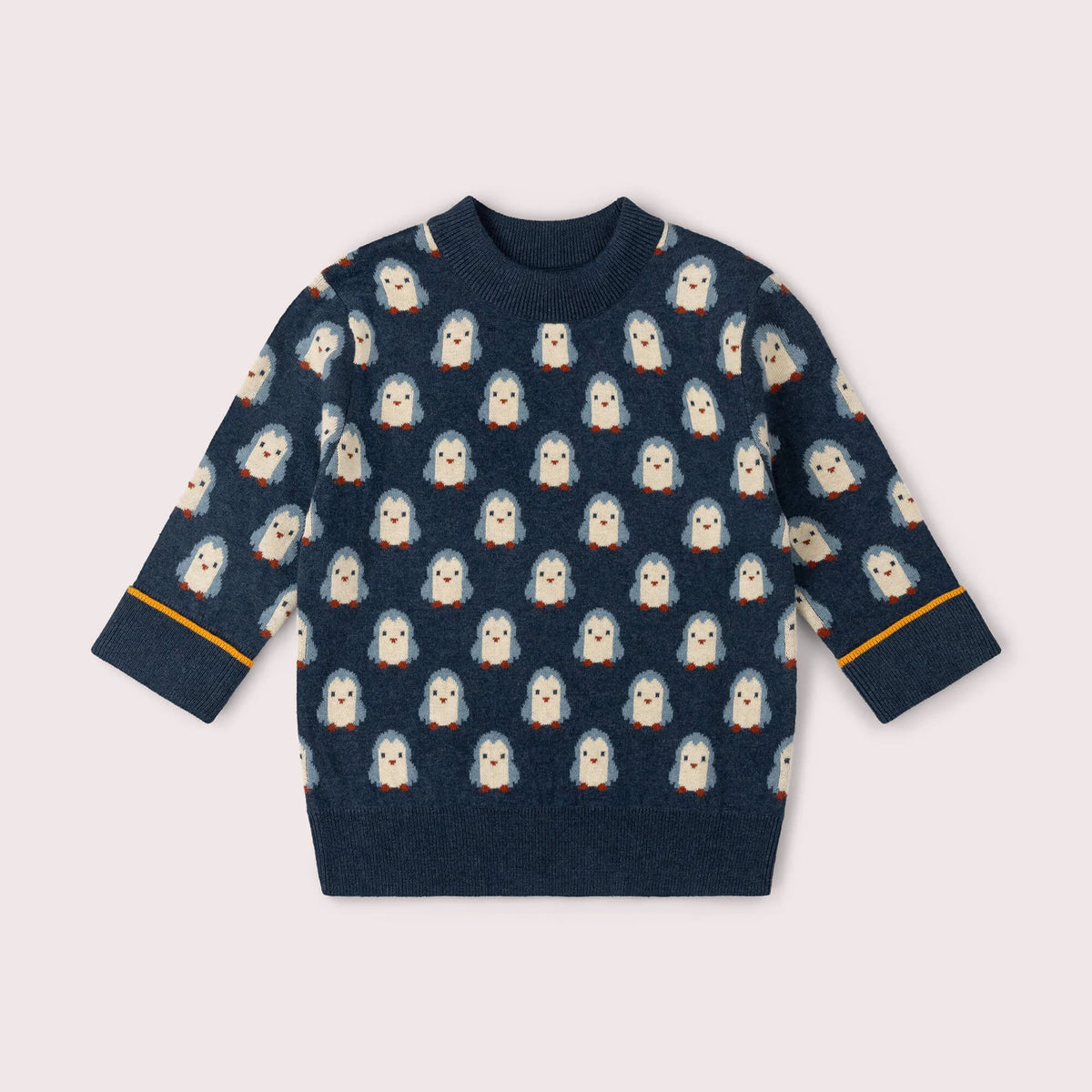 Maglione Pinguino | Little Green Radicals