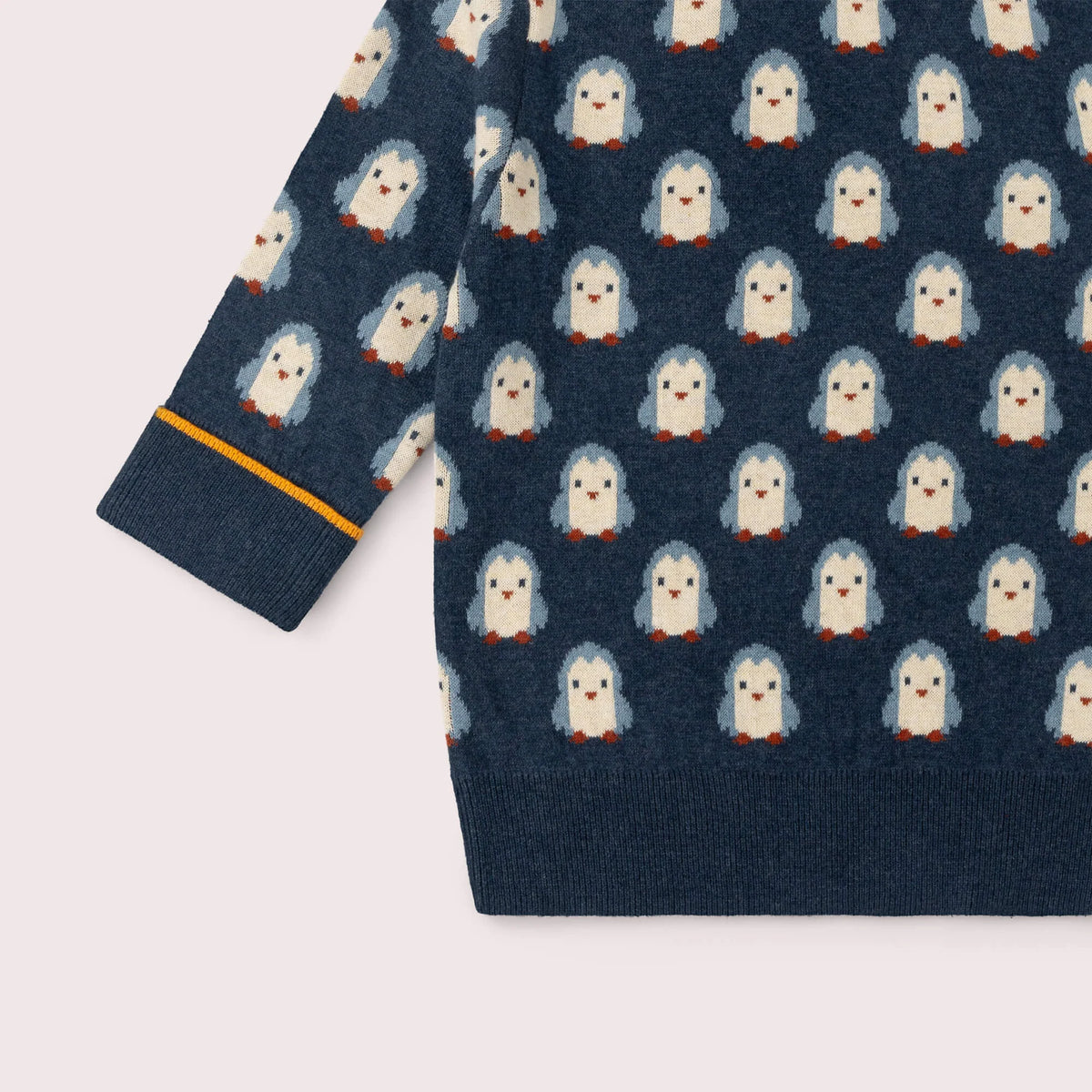 Maglione Pinguino | Little Green Radicals