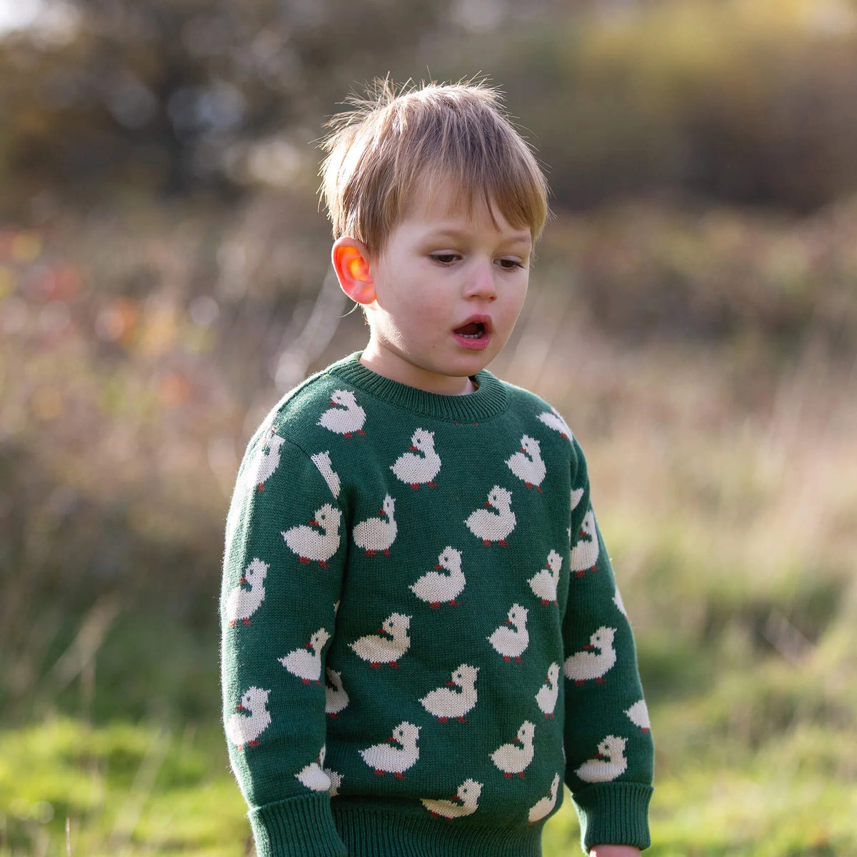 Maglione Anatra | Little Green Radicals