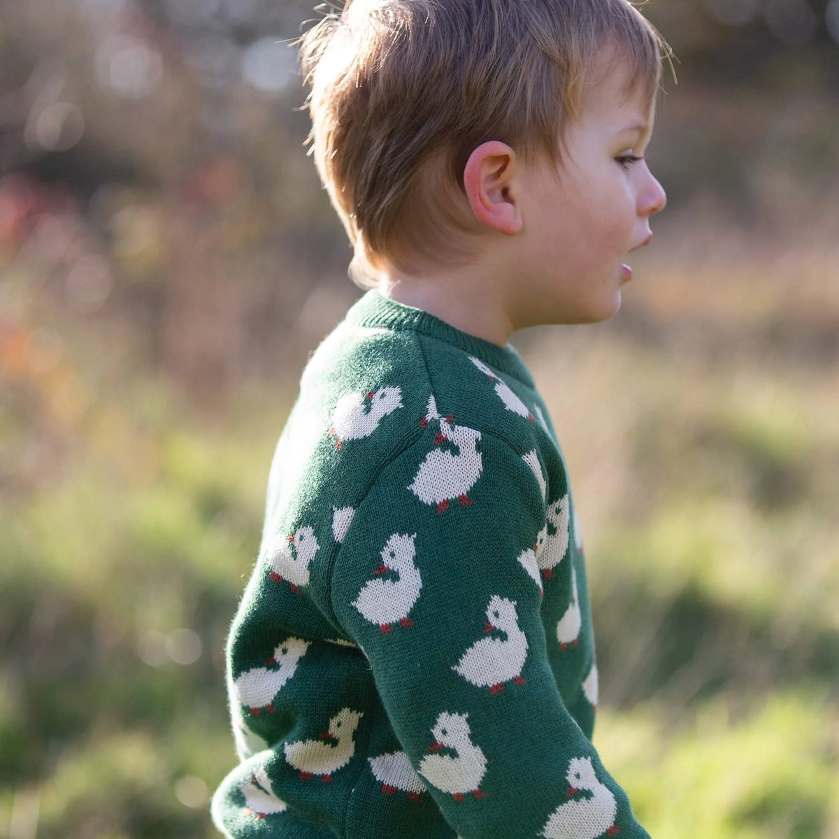 Maglione Anatra | Little Green Radicals