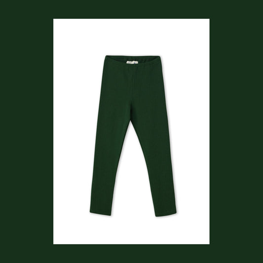 Leggings a coste Cotone Organico Verde Pino