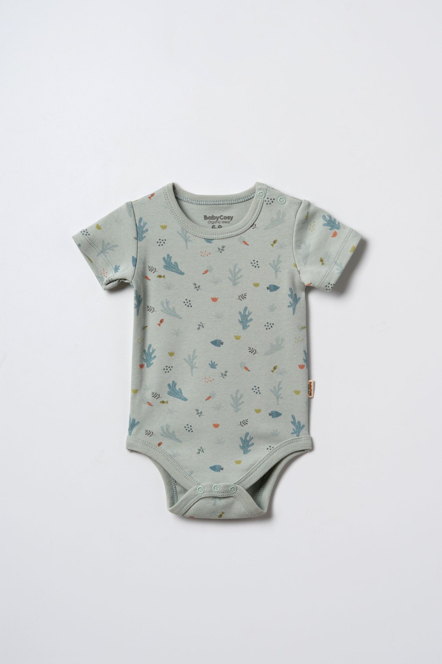 Set 2 body maniche corte mare| BABYCOSY ORGANIC