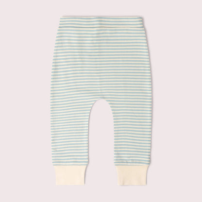 Set Pinguino pantaloni morbidi & maglietta | Little Green Radicals