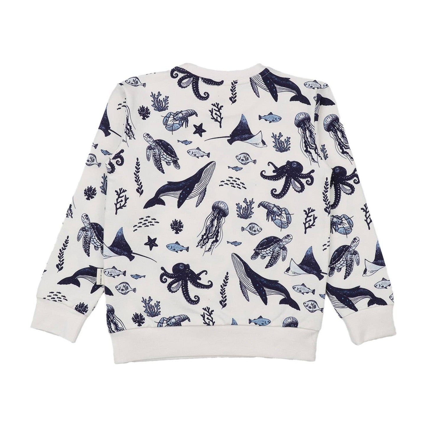 Felpa Oceano in cotone biologico – Walkiddy