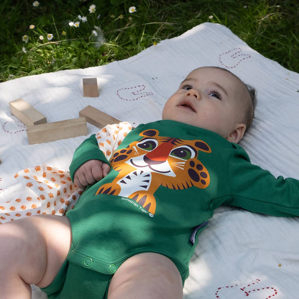 Set regalo neonato Tigre in cotone biologico – Coq en Pâte